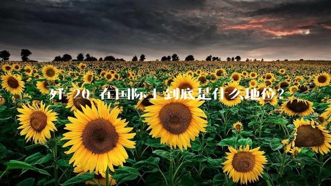 歼-20 在国际上到底是什么地位？